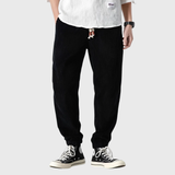 Ramiro | Pantaloni moderni din catifea